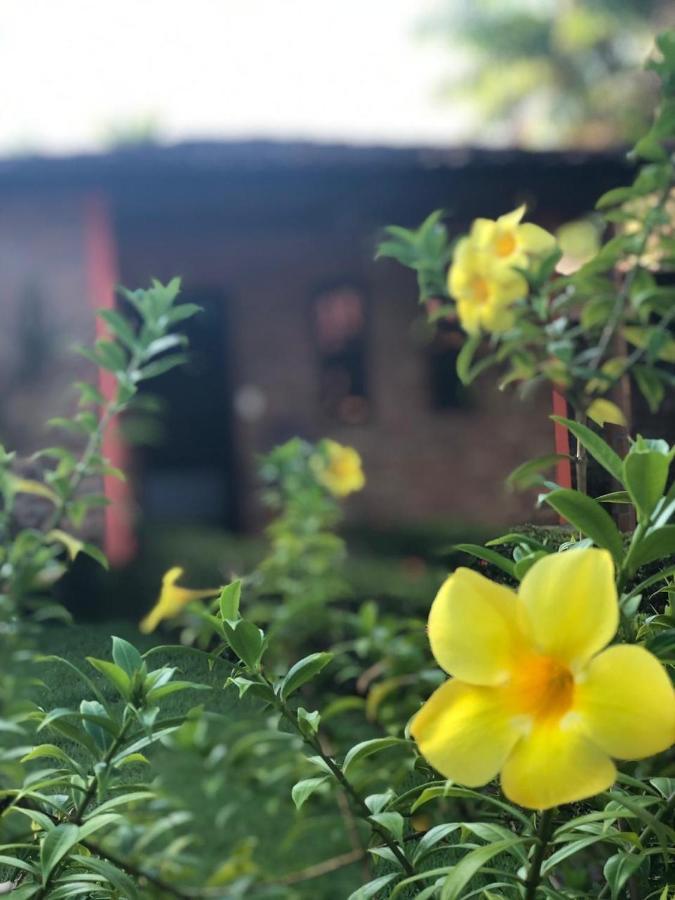Pousada Do Riacho باريرينهاس المظهر الخارجي الصورة